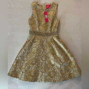 NWT Lilly Pulitzer Levy Dress size 0